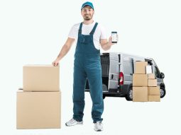 Wolvox Mobil Satış